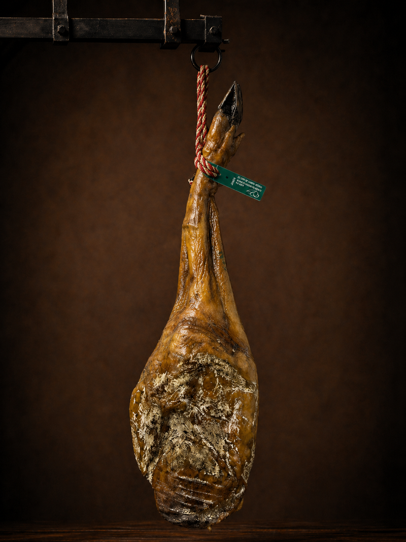 Paleta Ibérica de Cebo de Campo 50%